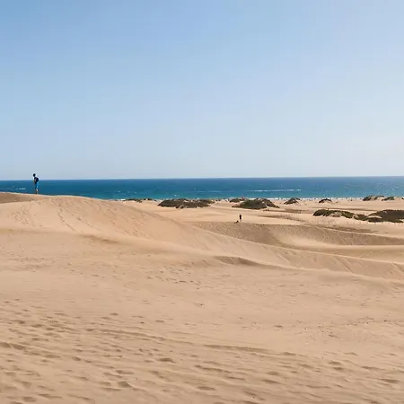 In Near Maspalomas Dunes Playa del Ingles (Gran Canaria)